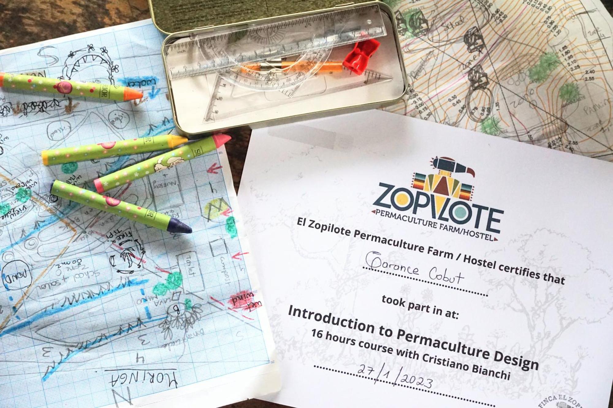 El Zopilote Hostel Balgue Kültér fotó