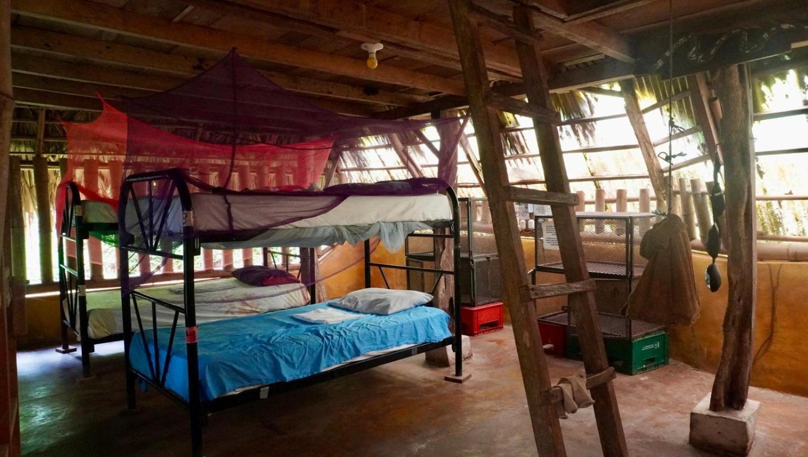 El Zopilote Hostel Balgue Szoba fotó