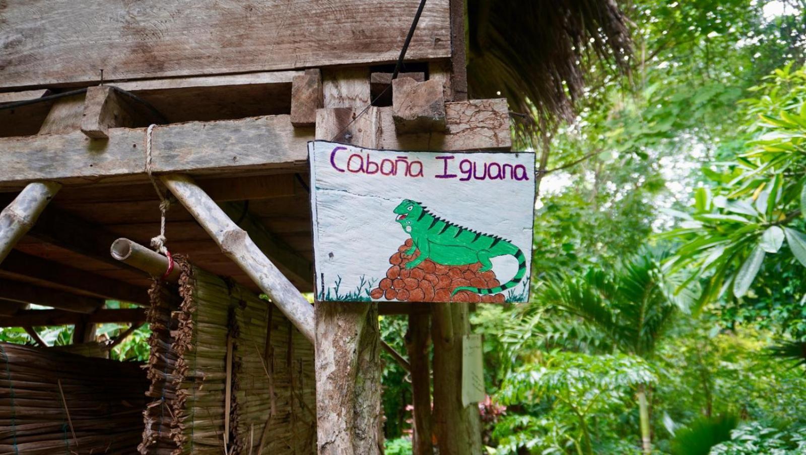 El Zopilote Hostel Balgue Szoba fotó