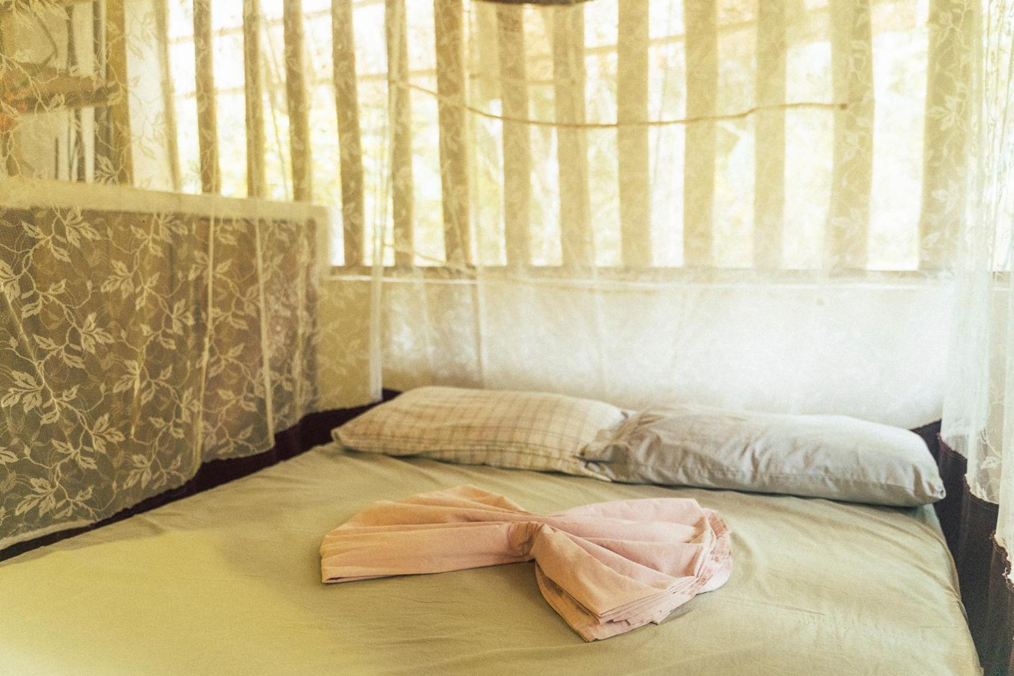 El Zopilote Hostel Balgue Szoba fotó